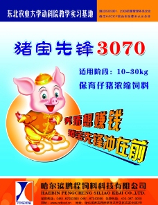 猪饲料宣传广告图片