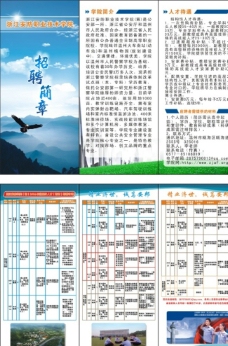 三折页 招聘简章 学校图片