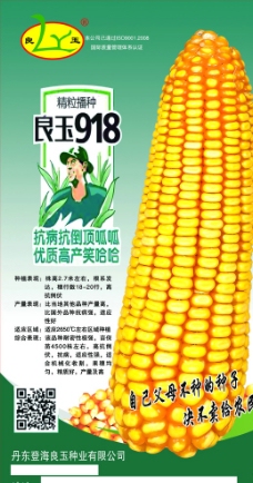 良玉918图片