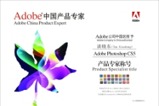 Adobe证书图片