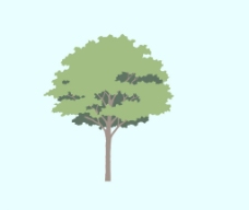 草图大师模型平面树