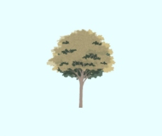 草图大师平面树