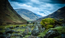 苏格兰高地的苔藓图片