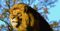 梦中的狮王图片