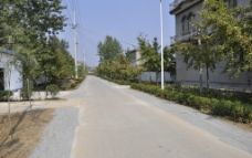 村庄道路图片