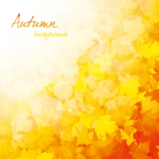 秋季缤纷色彩枫叶背景矢量素材