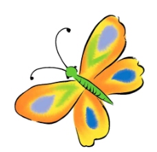 蝴蝶 昆虫 手绘图片