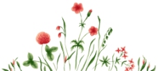 花纹 植物 花类 PSD 图片