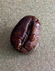 沾水咖啡豆微距特写 图片