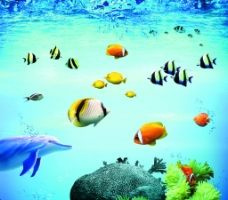 海洋热带鱼图片