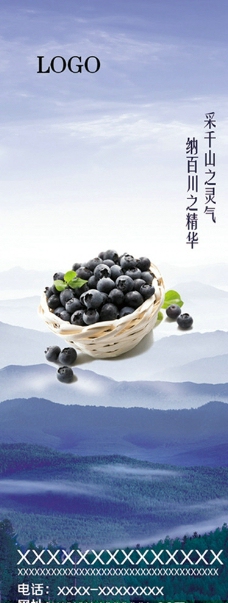蓝莓易拉宝图片