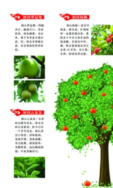 水果特产折页图片