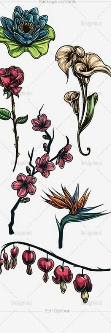 植物图案花纹花朵植物纹身图案
