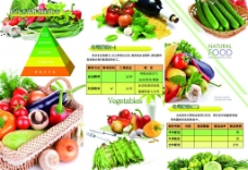 绿色蔬菜蔬菜种植绿色食品原生态