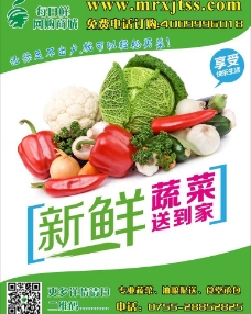 绿色蔬菜蔬菜配送海报