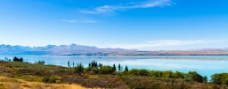 新西兰  特卡波湖图片