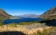 新西兰  瓦纳卡湖图片