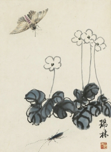 画册设计齐白石花卉虫草图片