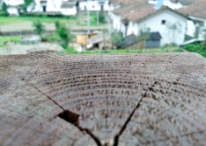防腐木 木头 木纹图片
