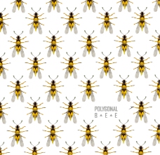 黄色蜜蜂无缝背景矢量素材