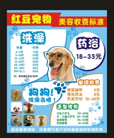 宠物狗红豆宠物店价格表图片