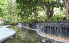 新加坡植物园小瀑布图片