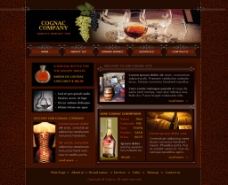 红酒酒会网站图片