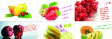 水果种类图片
