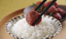 大米饭图片