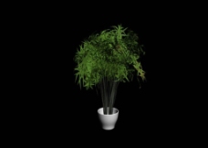 室内精品3d植物模型图片