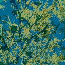 3d数码花纹抽象皮革蕾丝扎染提花