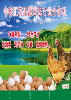 鸡蛋促销海报模板下载