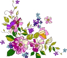 花朵 花纹背景图片