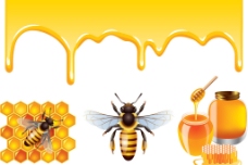 健康饮食蜂蜜图片