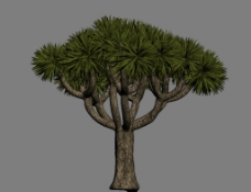 灌木3D模型图片