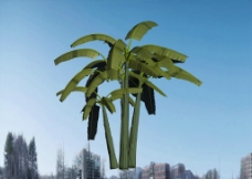 绿色叶子椰子树3D模型图片