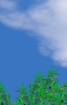 蓝天白云和竹叶图片