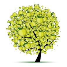 绿色叶子创意苹果树图片